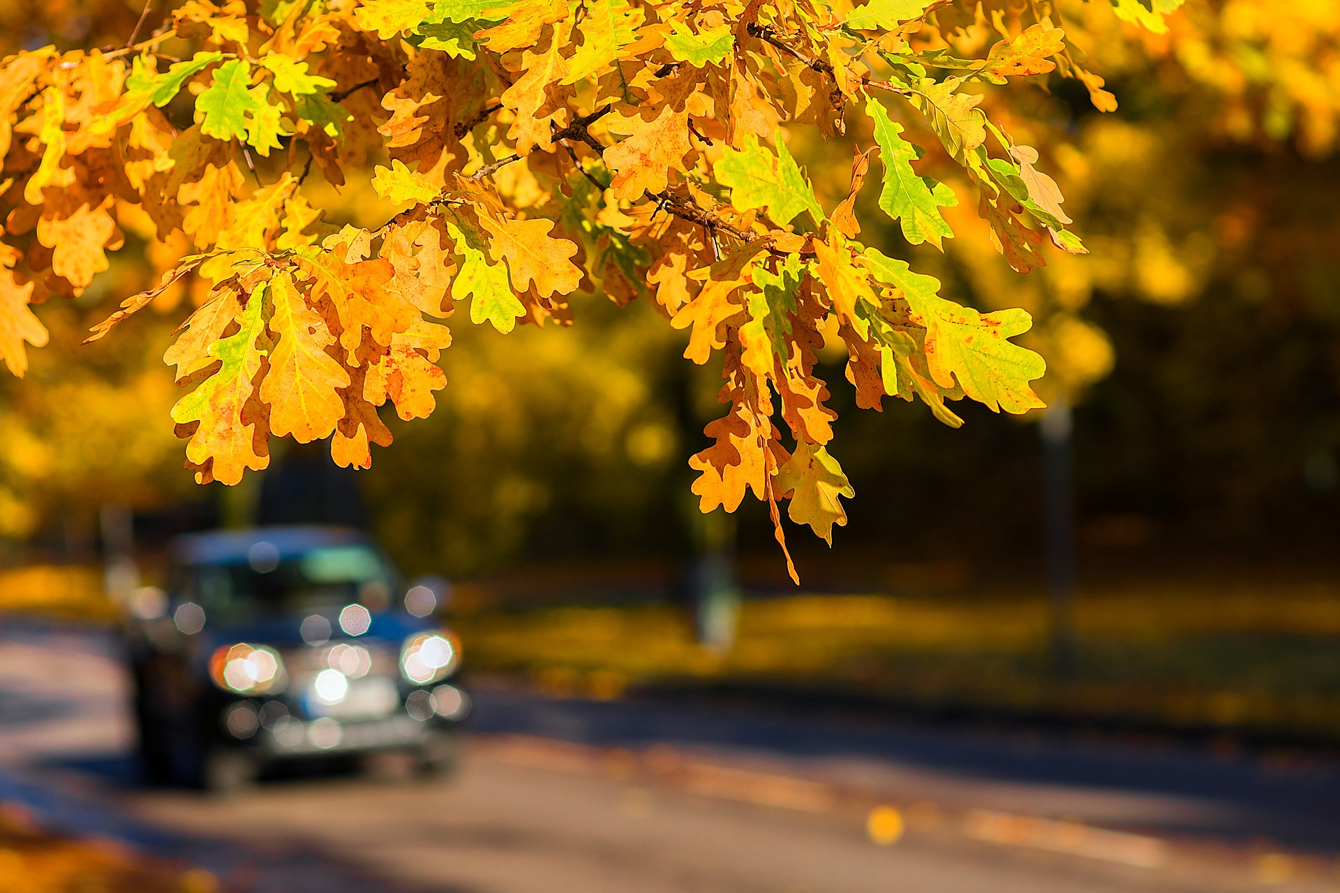 Prepara tu vehículo para el otoño